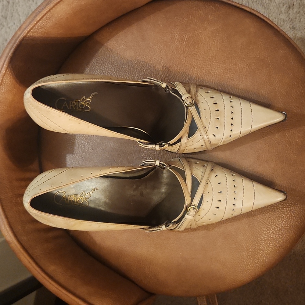 Size 11 Pointed Toe Leather Heels